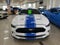2019 Ford Mustang GT Fastback