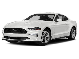 2019 Ford Mustang GT Fastback