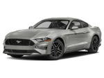 2019 Ford Mustang GT Fastback