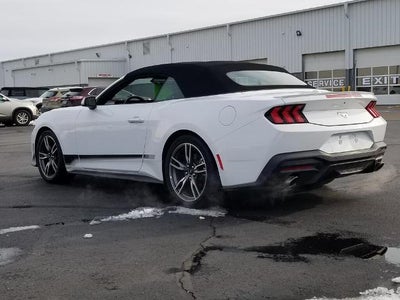 2025 Ford Mustang EcoBoost Convertible