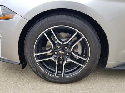 2021 Ford Mustang EcoBoost Convertible