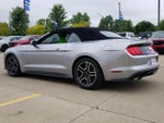 2021 Ford Mustang EcoBoost Convertible
