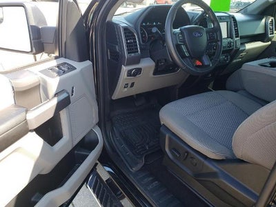 2019 Ford F-150 XL 4WD SuperCrew 5.5' Box