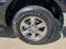 2019 Ford F-150 XL 4WD SuperCrew 5.5' Box