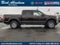 2019 Ford F-150 XL 4WD SuperCrew 5.5' Box
