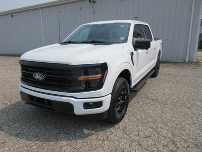 2024 Ford F-150 XLT 4WD SuperCrew 5.5' Box