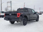 2023 Ford F-150 XL 4WD SuperCrew 5.5' Box