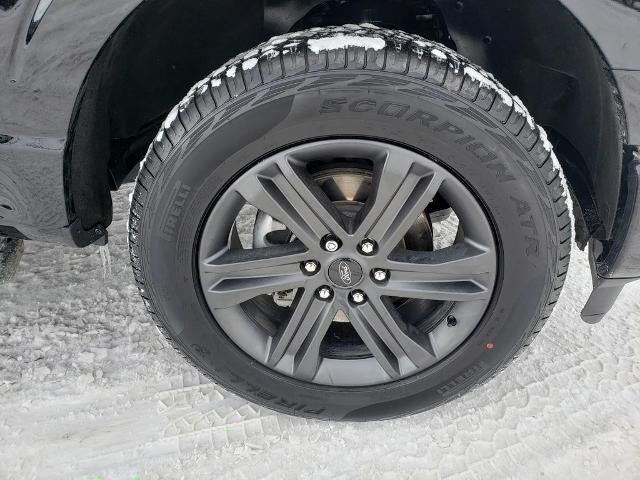 2023 Ford F-150 XL 4WD SuperCrew 5.5' Box