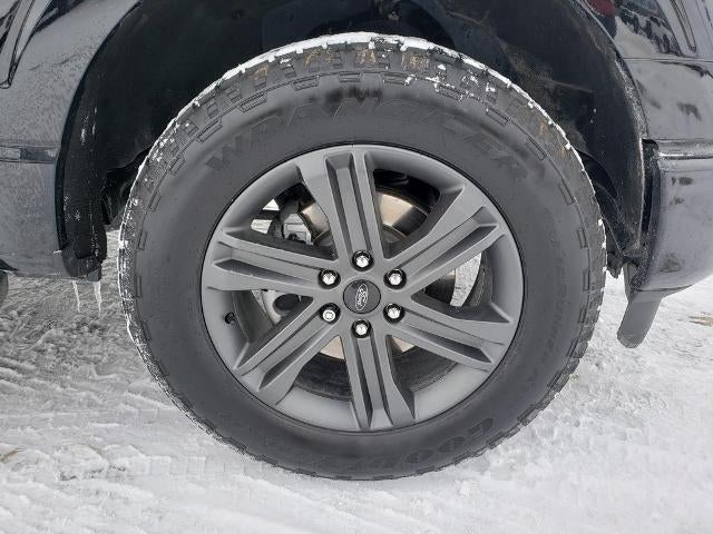 2023 Ford F-150 XL 4WD SuperCrew 5.5' Box