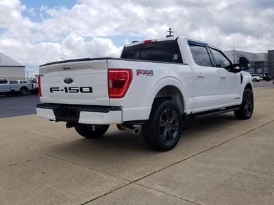 2023 Ford F-150 XL 4WD SuperCrew 5.5' Box