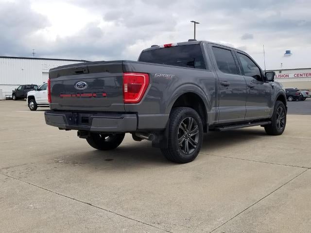 2021 Ford F-150 XL 4WD SuperCrew 5.5' Box