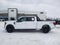 2025 Ford F-150 XLT 4WD SuperCrew 5.5' Box