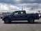 2025 Ford F-150 Tremor 4WD SuperCrew 5.5' Box