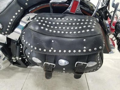 1993 Harley Davidson Softtail Bike